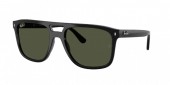 Ray-Ban RB2213