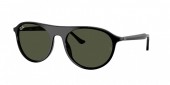 Ray-Ban RB2215F