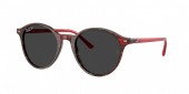 Ray-Ban RB2230 Bernard