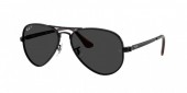 Ray-Ban RB3925