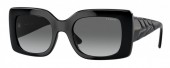 Vogue VO5481S
